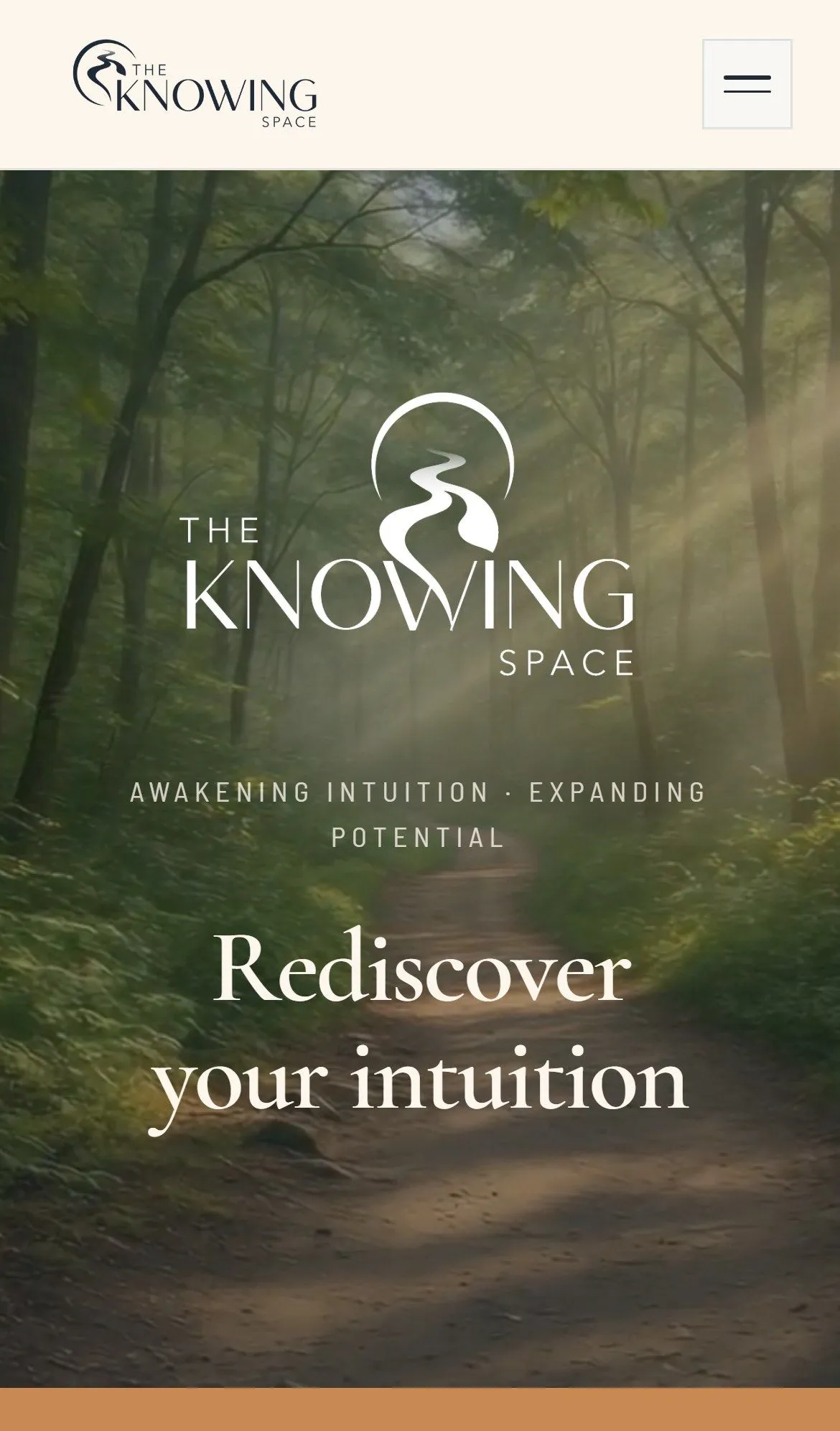 The Knowing Space vista en móvil
