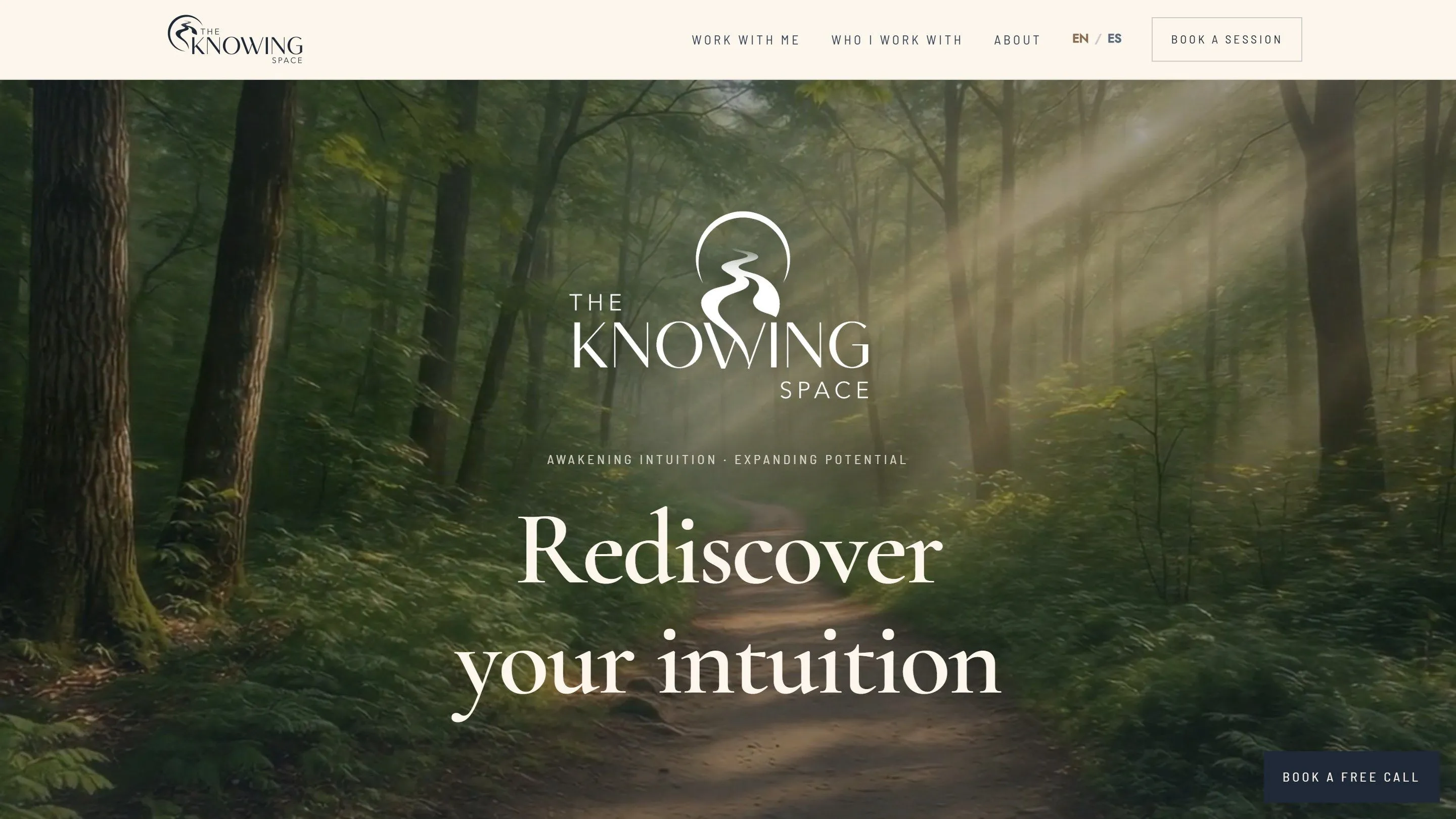 Captura de The Knowing Space